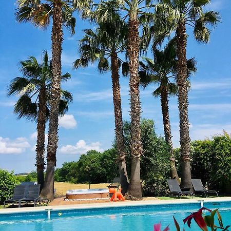 La Villa Mediterranee Wellness Spa Piscine Saint-Drezery Eksteriør billede