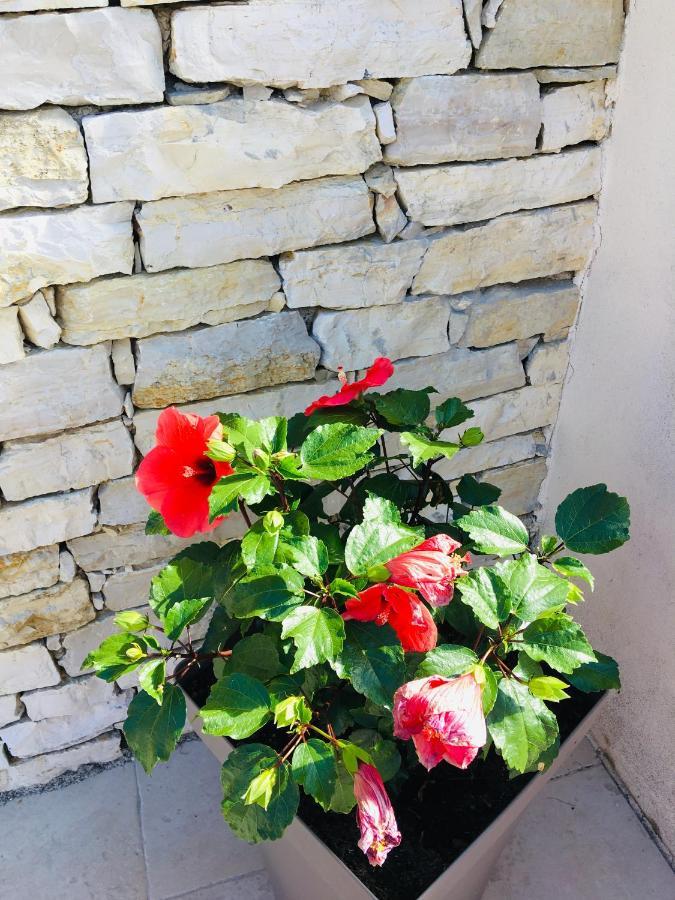 La Villa Mediterranee Wellness Spa Piscine Saint-Drezery Eksteriør billede